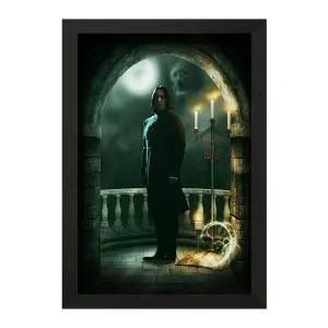 تابلو اسنیپ هری پارتر (Harry Potter)