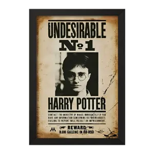 تابلو هری پاتر (Harry Potter)