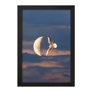 تابلو ماه و پرنده