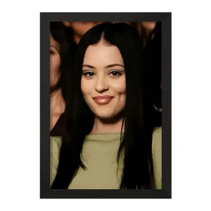 تابلو الکسا دمی (Alexa Demiez)