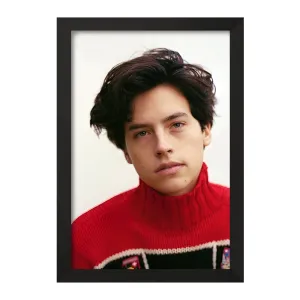 تابلو کول اسپراوس(Cole Sprouse)