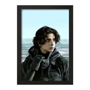 تابلو تیموتی شالامی (Timothée Chalamet)