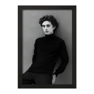 تابلو تیموتی شالامی (Timothée Chalamet)