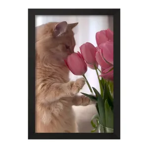 تابلو گربه و گل