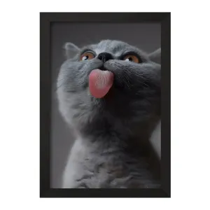 تابلو گربه