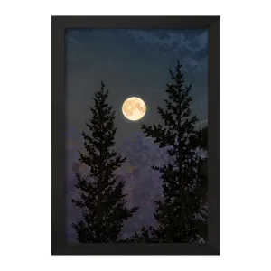 تابلو ماه (Moon)