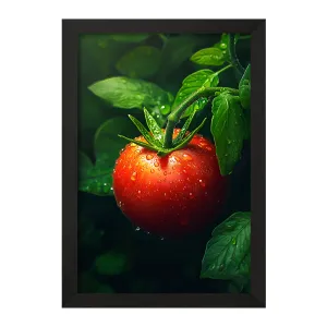 تابلو بوته گوجه فرنگی