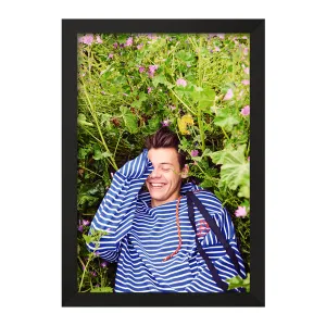 تابلو هری استایلز گروه موسیقی وان دایرکشن One Direction