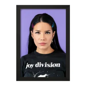 تابلو هالزی Halsey