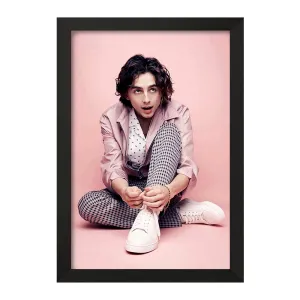تابلو تیموتی شالامی Timothée Chalamet
