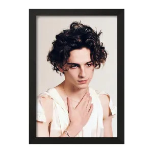 تابلو تیموتی شالامی Timothée Chalamet