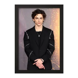 تابلو تیموتی شالامی Timothée Chalamet