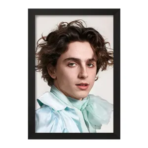 تابلو تیموتی شالامی Timothée Chalamet
