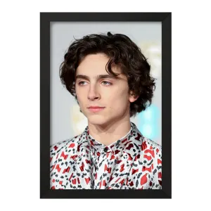 تابلو تیموتی شالامی Timothée Chalamet