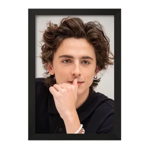 تابلو تیموتی شالامی Timothée Chalamet