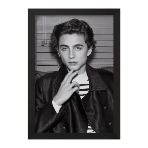 تابلو تیموتی شالامی Timothée Chalamet