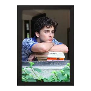 تابلو تیموتی شالامی Timothée Chalamet