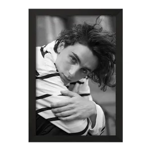 تابلو تیموتی شالامی Timothée Chalamet
