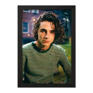 تابلو تیموتی شالامی Timothée Chalamet