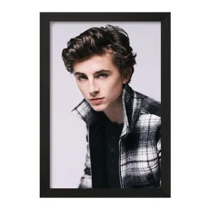 تابلو تیموتی شالامی Timothée Chalamet