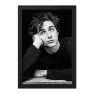 تابلو تیموتی شالامی Timothée Chalamet