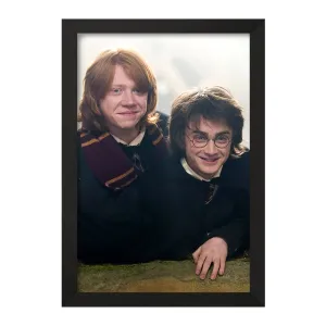 تابلو هری و رون هری پاتر Harry Potter