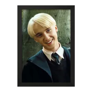 تابلو دراکو مالفوی هری پاتر Harry Potter
