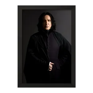 تابلو اسنیپ هری پاتر Harry Potter