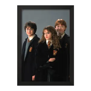 تابلو هری پاتر Harry Potter