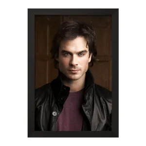 تابلو دیمون خاطرات یک خون آشام The Vampire Diaries
