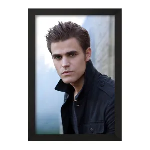 تابلو استفان سالواتوره خاطرات یک خون آشام The Vampire Diaries