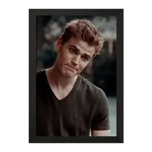 تابلو استفان سالواتوره خاطرات یک خون آشام The Vampire Diaries