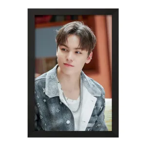 تابلو ورنون گروه سونتین Seventeen