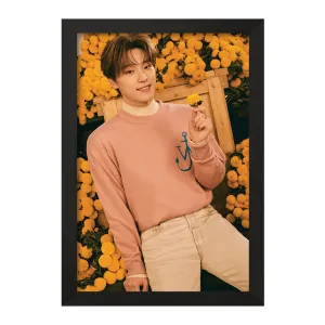 تابلو دینو گروه سونتین Seventeen