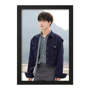 تابلو دینو گروه سونتین Seventeen