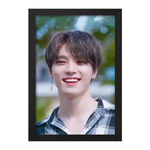 تابلو دینو گروه سونتین Seventeen
