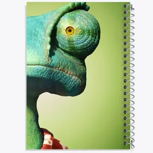 دفتر آقای رنگو