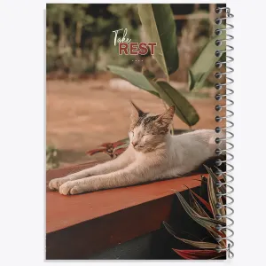 دفتر گربه