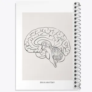 دفتر آناتومی مغز (Brain Anatomy)