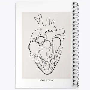 دفتر آناتومی قلب (Heart Anatomy)