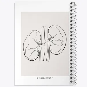 دفتر آناتومی کلیه ها (kidneys Anatomy)