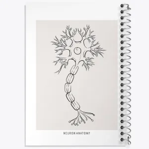 دفتر آناتومی نورون (Neuron Anatomy)