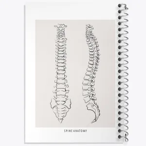 دفتر آناتومی ستون فقرات (Spine Anatomy)