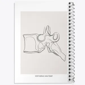 دفتر آناتومی مهره ها (Vertebrae Anatomy)