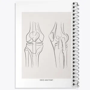 دفتر آناتومی زانو (knee Anatomy)
