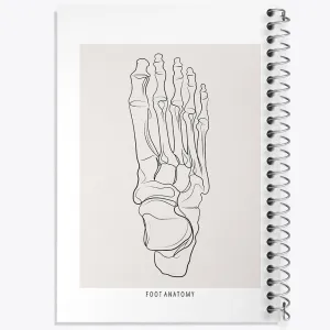 دفتر آناتومی پا (Foot Anatomy)
