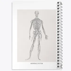 دفتر سیستم عصبی (Nervous System)