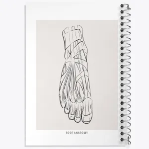 دفتر آناتومی پا (Foot Anatomy)