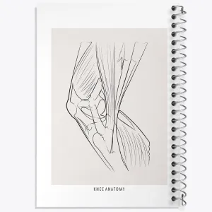 دفتر آناتومی زانو (Knee Anatomy)