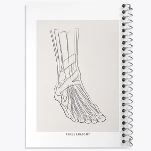 دفتر آناتومی مچ پا (Ankle Anatomy)